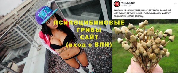 тгк Вязьма