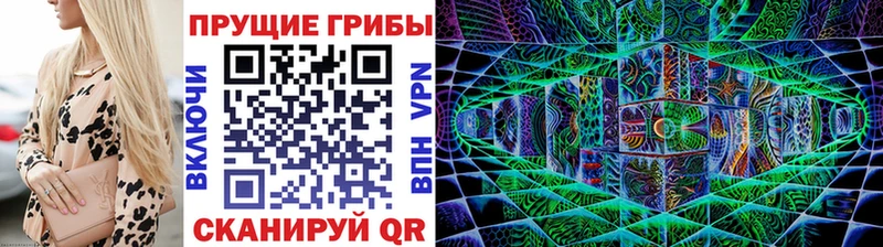 Купить  Калязин  Галлюциногенные грибы Psilocybine cubensis 